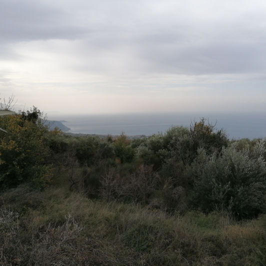 Image No.2-Plot for sale