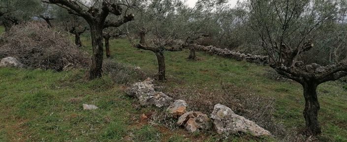 Image No.3-Plot for sale