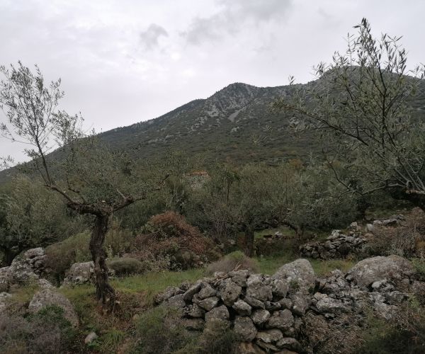 Image No.5-Plot for sale