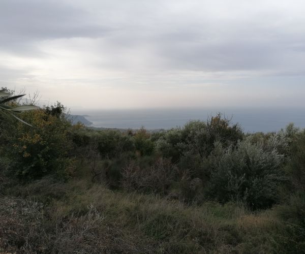 Image No.6-Plot for sale