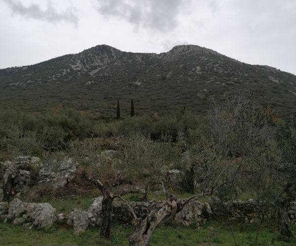 Image No.7-Plot for sale