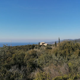 img202302171029502025-02-11-151521dlib