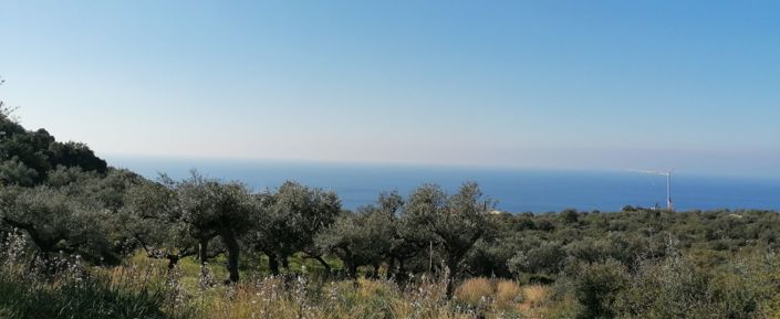 Image No.3-Plot for sale