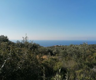 img202302171029472025-02-11-151516nifv