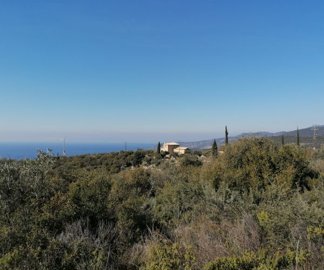 img202302171029502025-02-11-151526yiwd