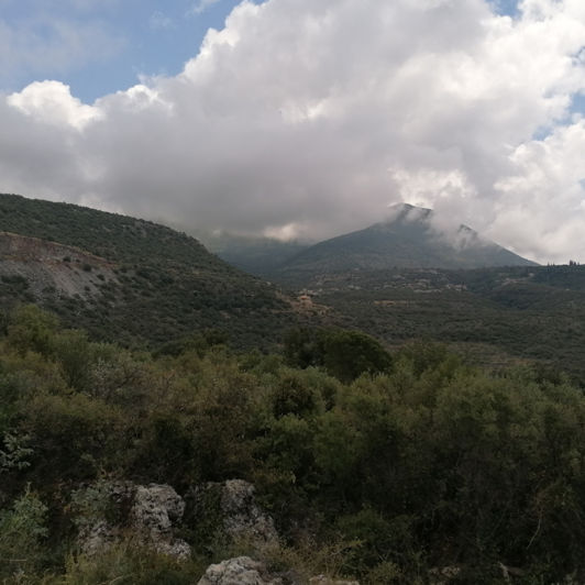 Image No.2-Plot for sale