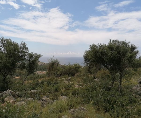 Image No.8-Plot for sale