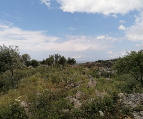 Image No.9-Plot for sale