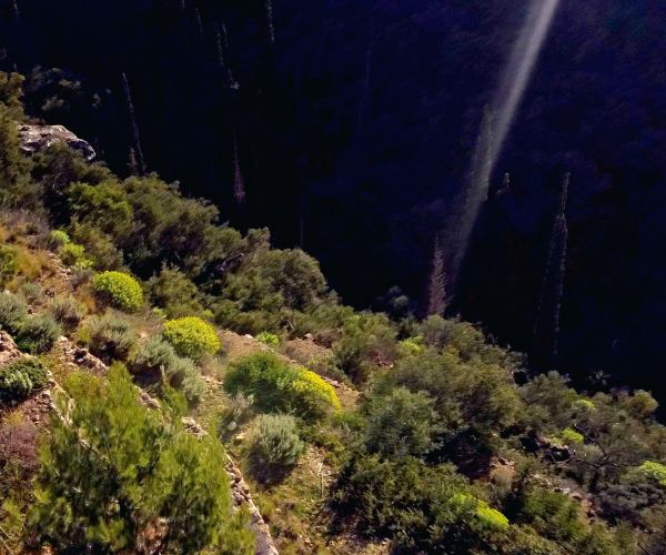 Image No.12-4 Bed House for sale