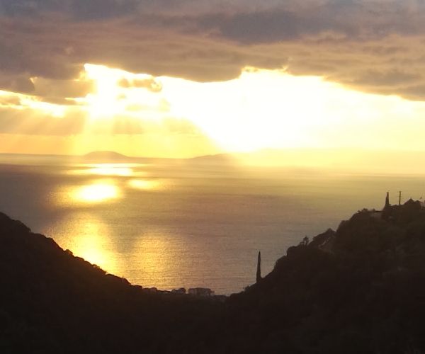 Image No.16-4 Bed House for sale