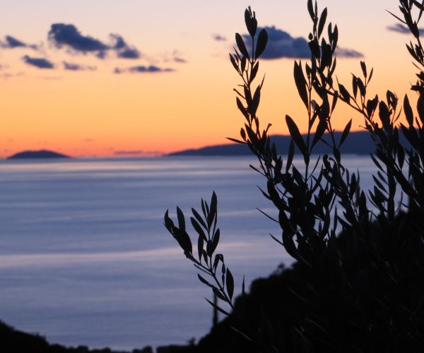 Image No.18-4 Bed House for sale