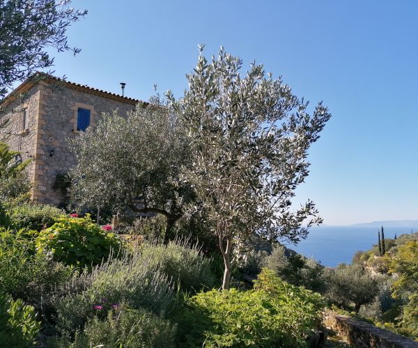 Image No.22-4 Bed House for sale