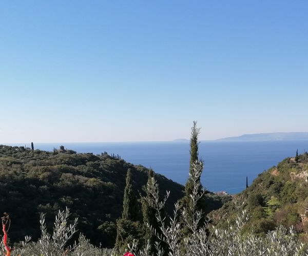 Image No.26-4 Bed House for sale