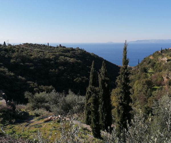 Image No.27-4 Bed House for sale