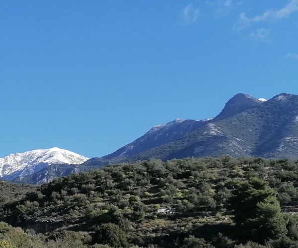 Image No.30-4 Bed House for sale