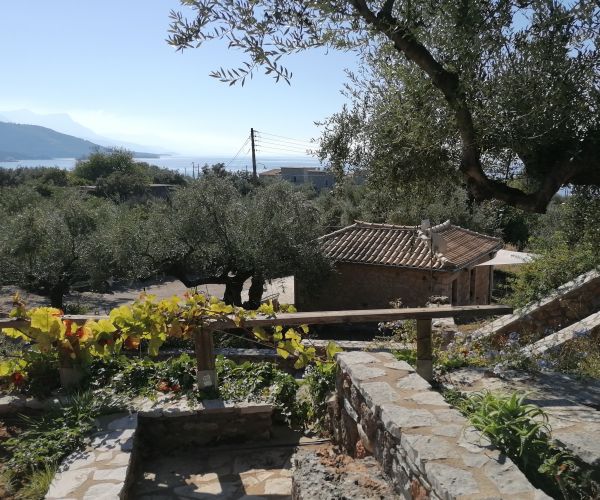 Image No.16-6 Bed House for sale