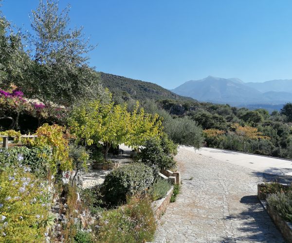 Image No.21-6 Bed House for sale