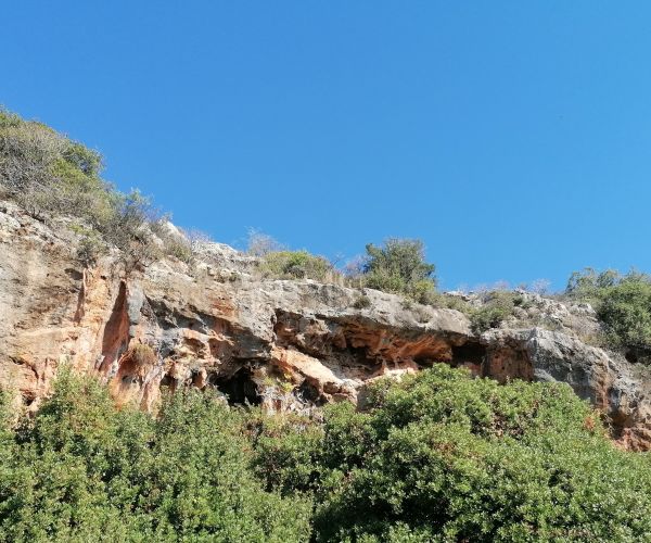 Image No.9-6 Bed House for sale