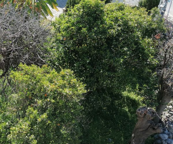 Image No.15-8 Bed House for sale