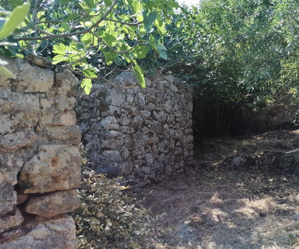 Image No.11-3 Bed House for sale