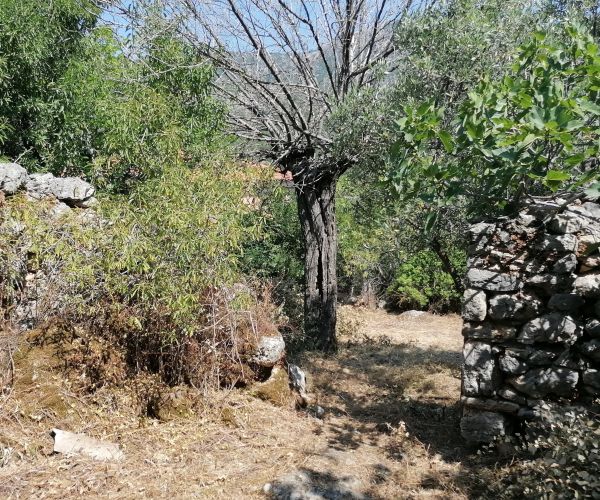 Image No.16-3 Bed House for sale