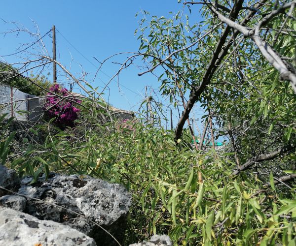 Image No.27-3 Bed House for sale