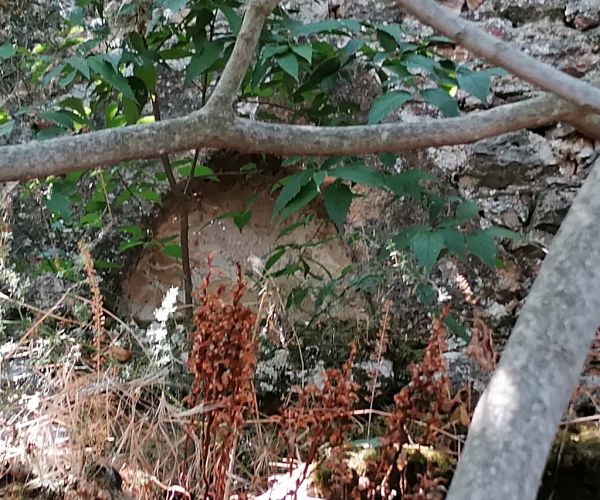 Image No.28-3 Bed House for sale