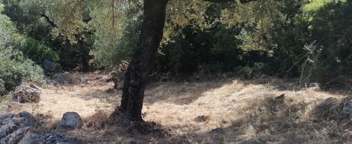 Image No.3-3 Bed House for sale