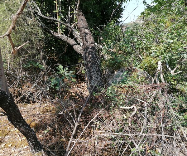 Image No.32-3 Bed House for sale