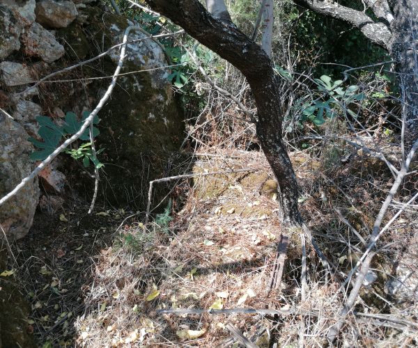 Image No.33-3 Bed House for sale