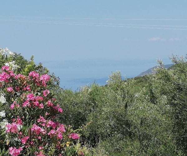 Image No.34-3 Bed House for sale