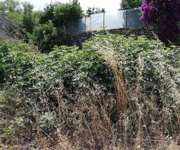 Image No.35-3 Bed House for sale