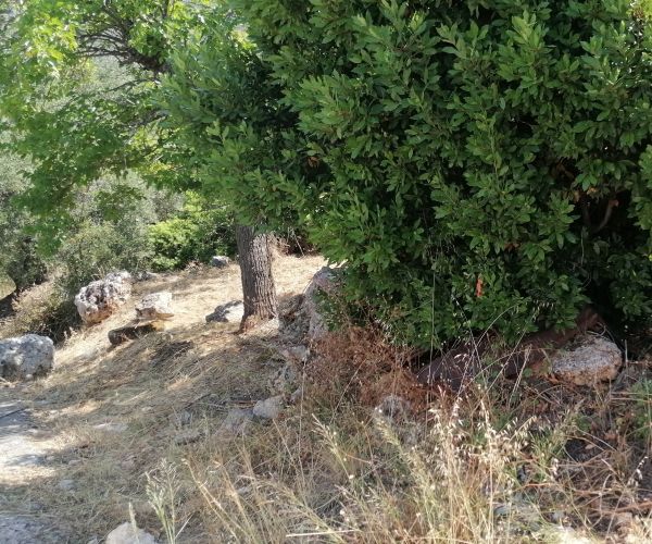 Image No.36-3 Bed House for sale