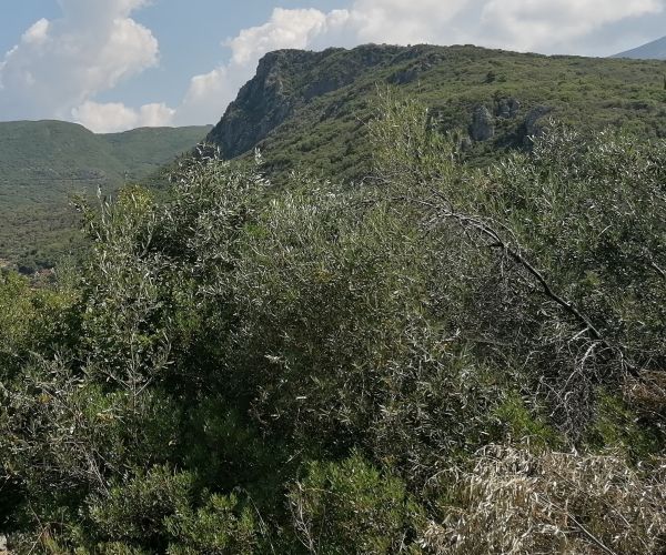 Image No.7-3 Bed House for sale