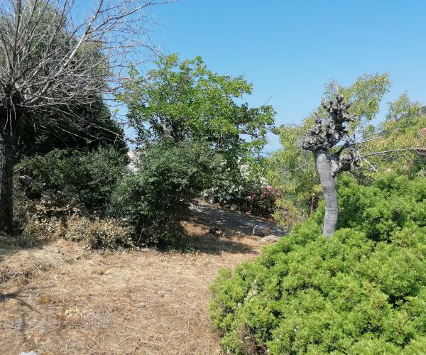 Image No.8-3 Bed House for sale