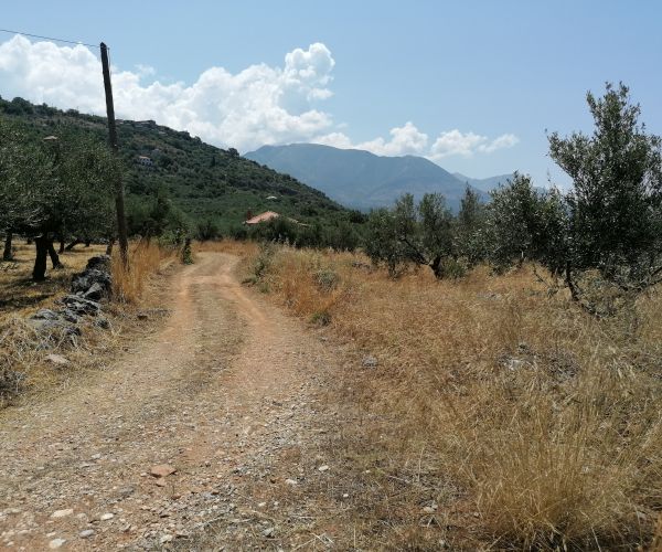 Image No.10-Plot for sale