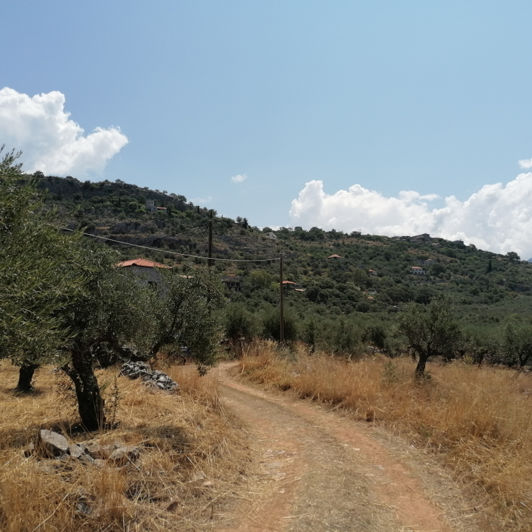 Image No.2-Plot for sale