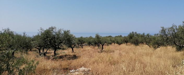 Image No.3-Plot for sale