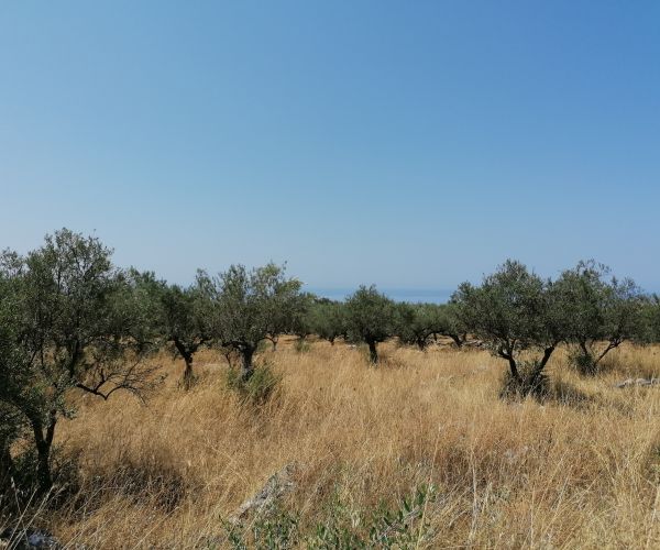 Image No.7-Plot for sale