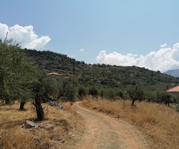 Image No.8-Plot for sale