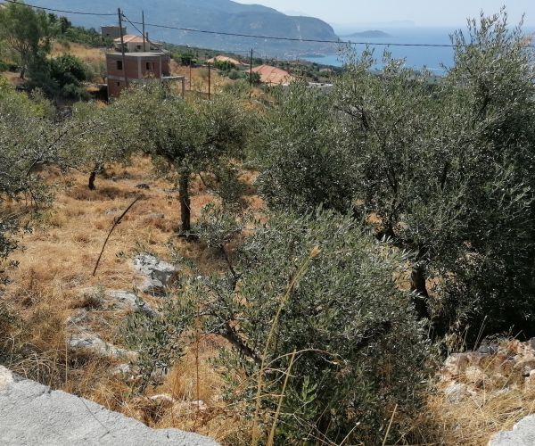 Image No.13-Plot for sale