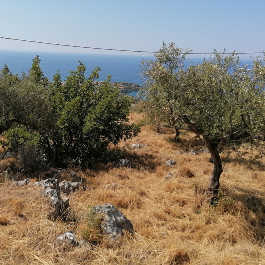 Image No.2-Plot for sale