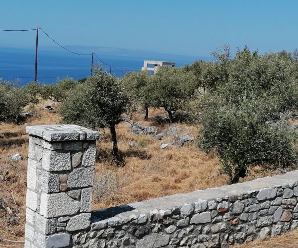 Image No.6-Plot for sale