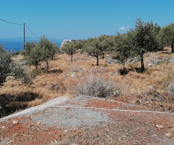 Image No.8-Plot for sale