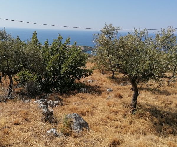 Image No.10-Plot for sale