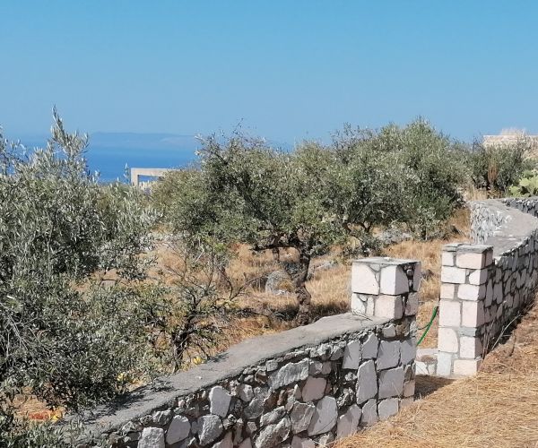 Image No.4-Plot for sale