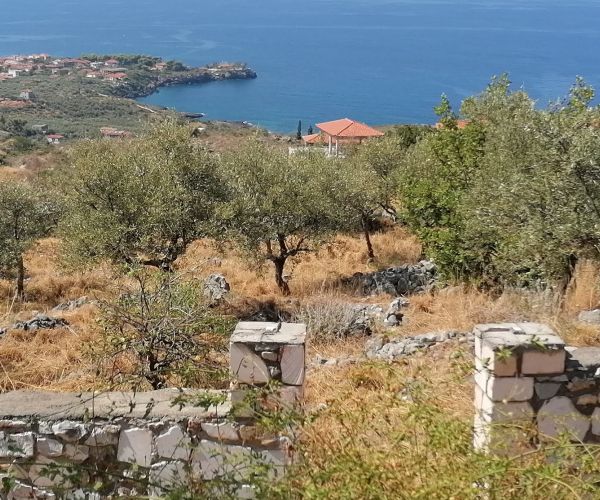 Image No.5-Plot for sale