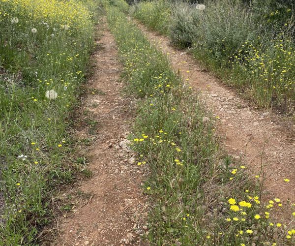 Image No.6-Plot for sale