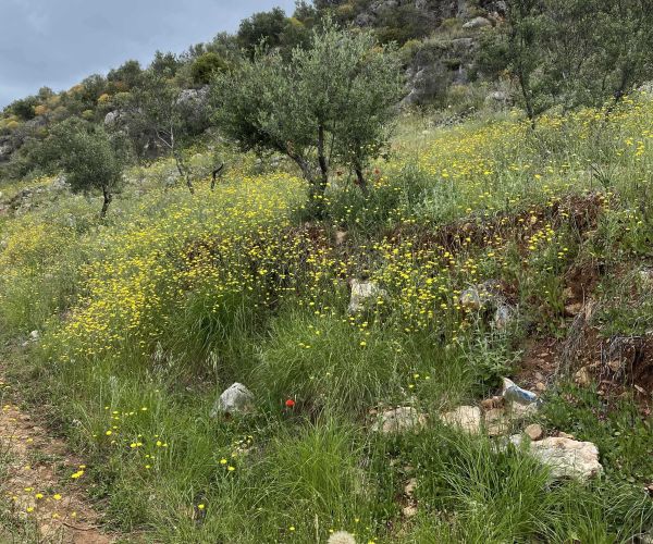 Image No.8-Plot for sale