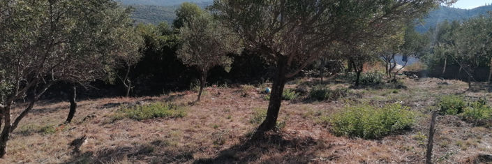 Image No.1-Plot for sale
